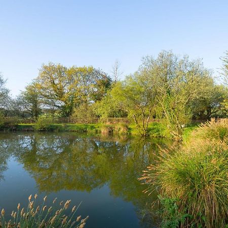 Our Goldfinch 1- Sleeps 2 Persons- Private Hot Tub-Pet Friendly-Tranquil Holiday Away From It All Yet Not Far From St Austell- The Holiday Home Has One Bedroom, Living And Dining Area, Equipped Kitchen-Decking-Outdoor Furniture-Fishing Lakes And More Grampound Zewnętrze zdjęcie