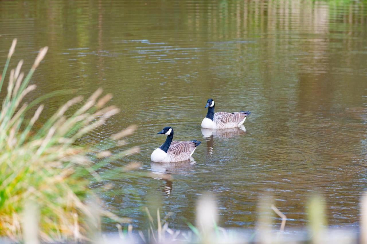 Our Goldfinch 1- Sleeps 2 Persons- Private Hot Tub-Pet Friendly-Tranquil Holiday Away From It All Yet Not Far From St Austell- The Holiday Home Has One Bedroom, Living And Dining Area, Equipped Kitchen-Decking-Outdoor Furniture-Fishing Lakes And More Grampound Zewnętrze zdjęcie